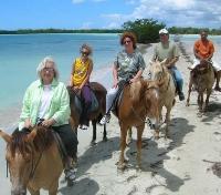 Horseback Riding Along the Beach
