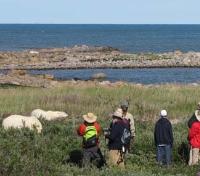Guide and Guests with Polar Bears