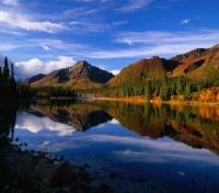 Scenic View of Denali National Park Scenic View of Denali National Park