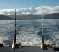 Tuna Fishing Tuna Fishing