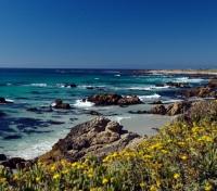 Beach Along 17 Mile Drive Beach Along 17 Mile Drive