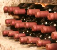 Winery Winery