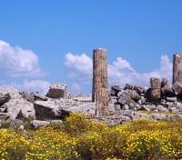 Selinunte Greek Ruins Selinunte Greek Ruins