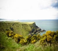 North Irish Coast