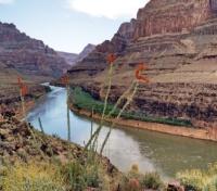 Grand Canyon- River
