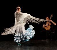 Flamenco Show
