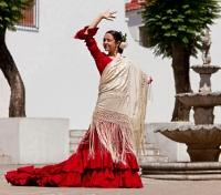 Flamenco Dancer
