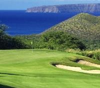 Optional: Makena Golf