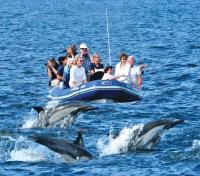 Skiff Tours