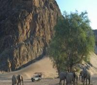 Damaraland - Elephants Damaraland - Elephants