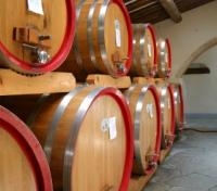 Wine Cellar