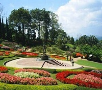 Doi Tung